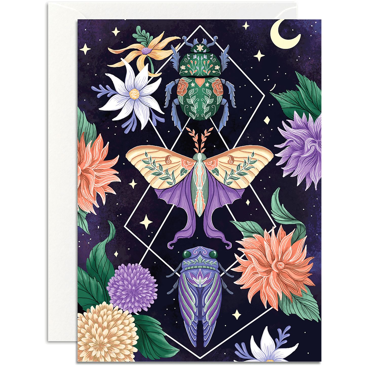 Beetle Moth Cicada
