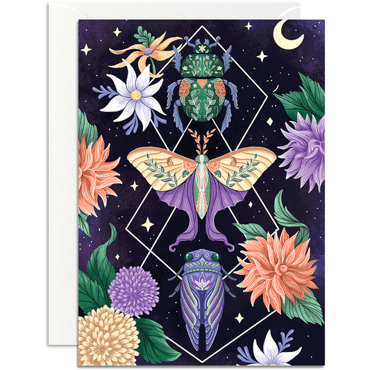 Beetle Moth Cicada